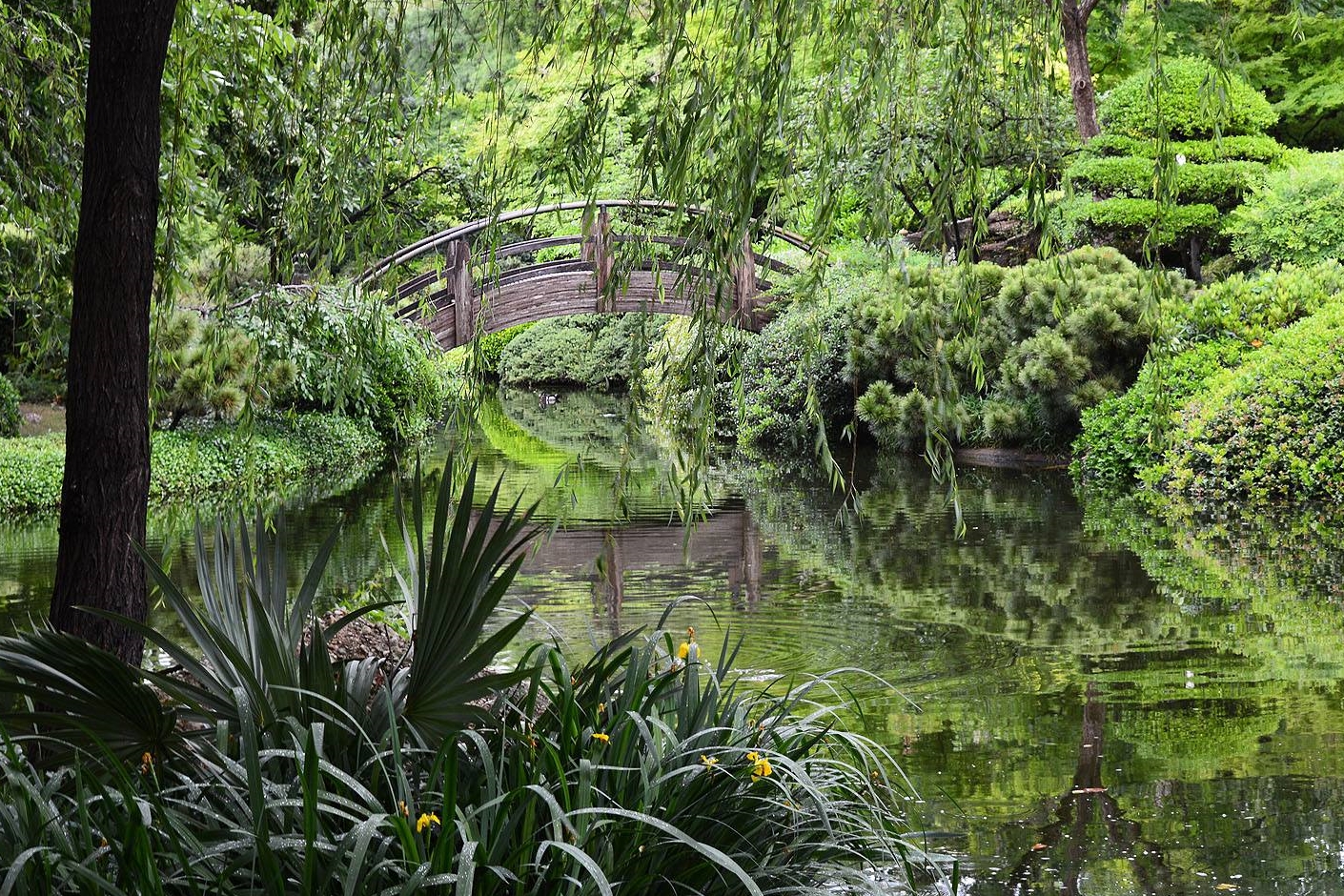 Japanese Gardens